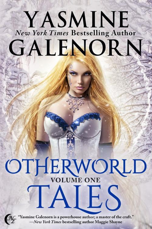 Cover of the book Otherworld Tales Volume 1 by Yasmine Galenorn, Nightqueen Enterprises LLC