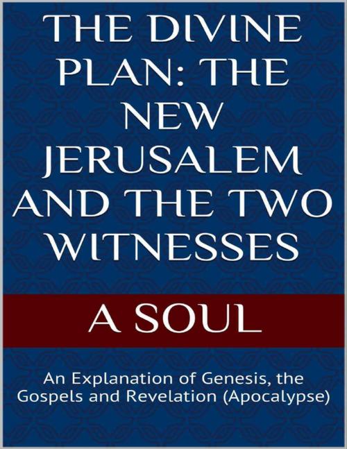 Cover of the book The Divine Plan: The New Jerusalem and the Two Witnesses by A Soul, Lulu.com