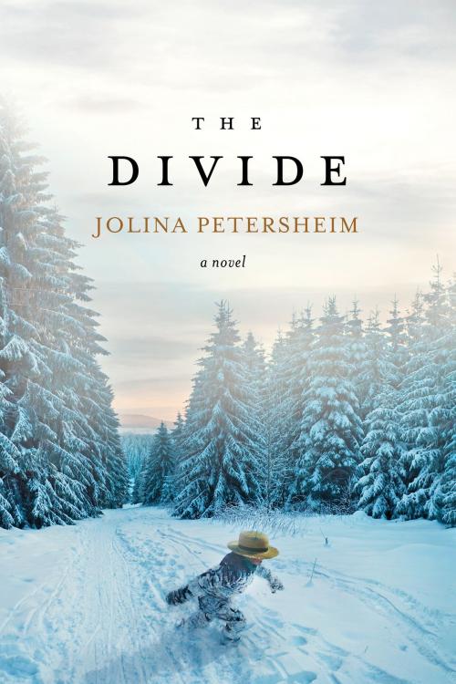 Cover of the book The Divide by Jolina Petersheim, Tyndale House Publishers, Inc.