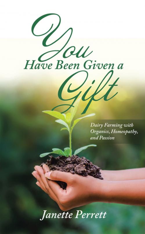 Cover of the book You Have Been Given a Gift by Janette Perrett, Balboa Press AU