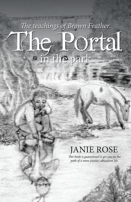 Cover of the book The Portal in the Park by Janie Rose, Balboa Press