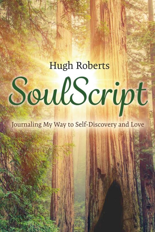 Cover of the book SoulScript by Hugh Roberts, BookBaby