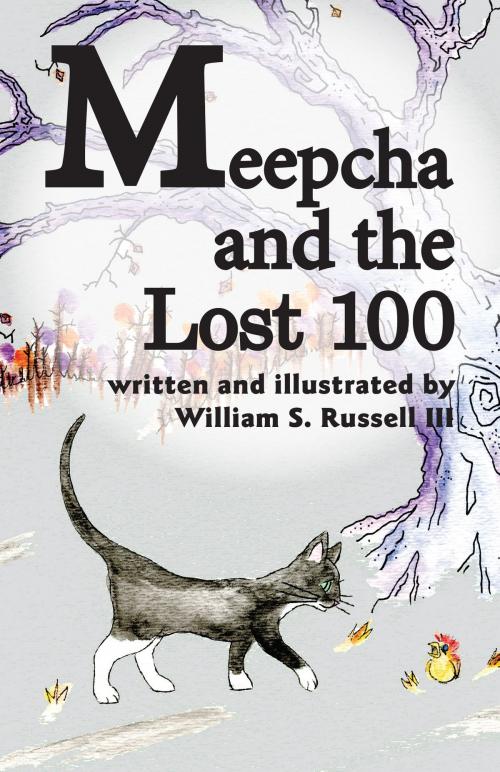 Cover of the book Meepcha and the Lost 100 by William S. Russell III, BookBaby