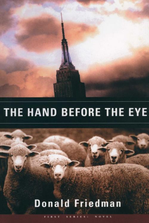 Cover of the book The Hand Before the Eye by Donald Friedman, BookBaby