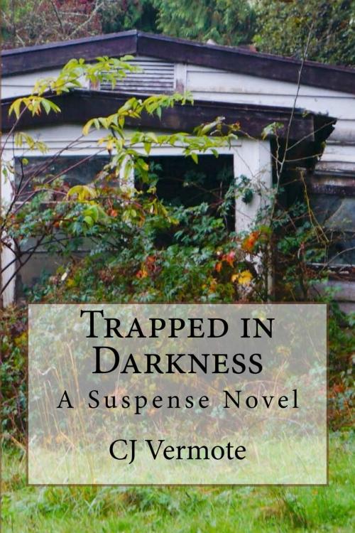 Cover of the book Trapped in Darkness by CJ Vermote, CJ Vermote