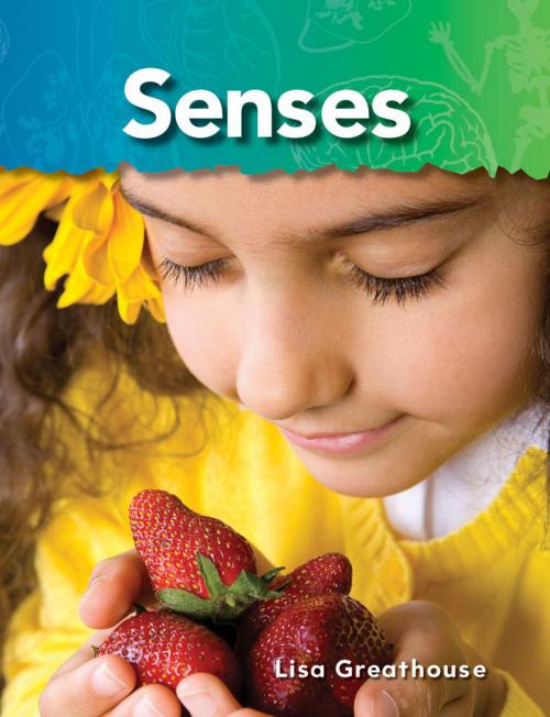 Cover of the book Senses by Lisa Greathouse, Teacher Created Materials