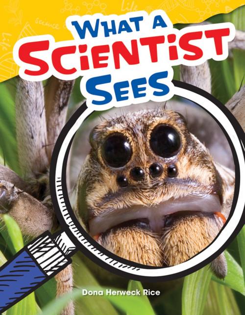 Cover of the book What a Scientist Sees by Dona Herweck Rice, Teacher Created Materials