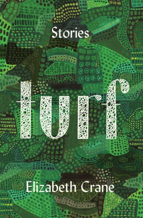 Cover of the book Turf by Elizabeth Crane, Counterpoint Press