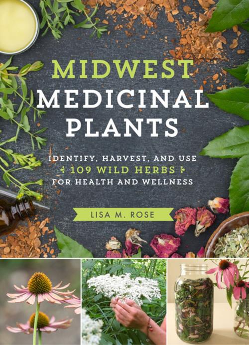 Cover of the book Midwest Medicinal Plants by Lisa M. Rose, Timber Press