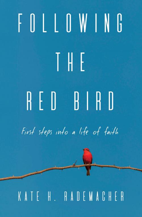 Cover of the book Following the Red Bird by Kate Rademacher, Light Messages Publishing