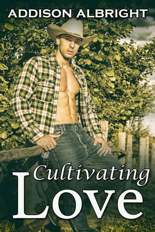 Cover of the book Cultivating Love by Addison Albright, JMS Books LLC