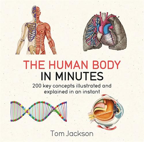 Cover of the book The Human Body in Minutes by Tom Jackson, Quercus