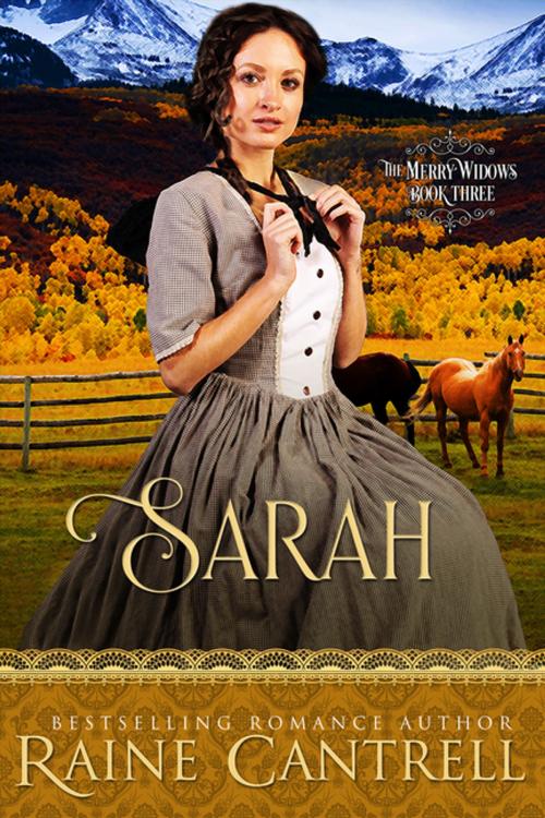 Cover of the book Sarah by Raine Cantrell, Diversion Books