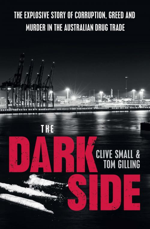 Cover of the book The Dark Side by Clive Small, Tom Gilling, Allen & Unwin