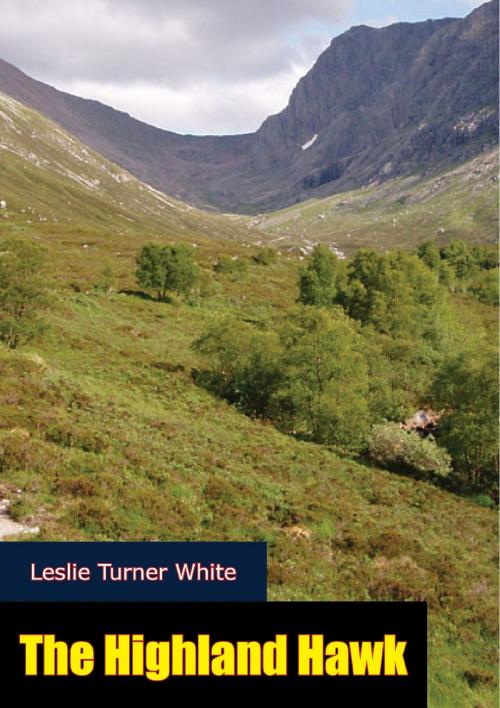 Cover of the book The Highland Hawk by Leslie Turner White, Valmy Publishing