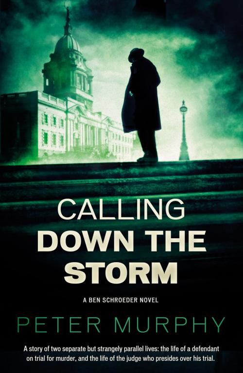 Cover of the book Calling Down the Storm by Peter Murphy, Oldcastle Books