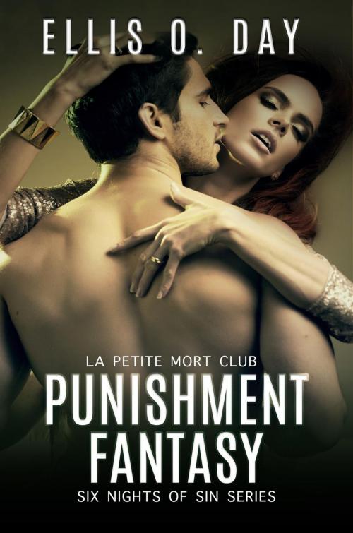 Cover of the book Punishment Fantasy by Ellis O. Day, L. S. O'Dea