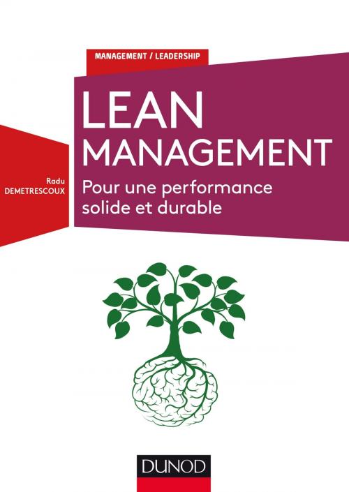 Cover of the book Lean Management by Radu Demetrescoux, Dunod