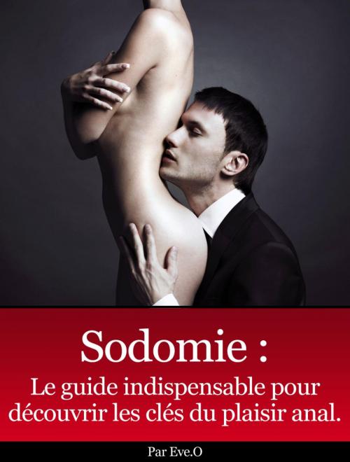 Cover of the book Sodomie by Eve O, Books on Demand