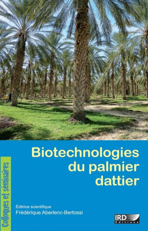 Cover of the book Biotechnologies du palmier dattier by Collectif, IRD Éditions