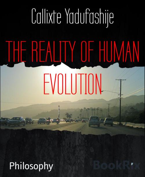 Cover of the book THE REALITY OF HUMAN EVOLUTION by Callixte Yadufashije, BookRix