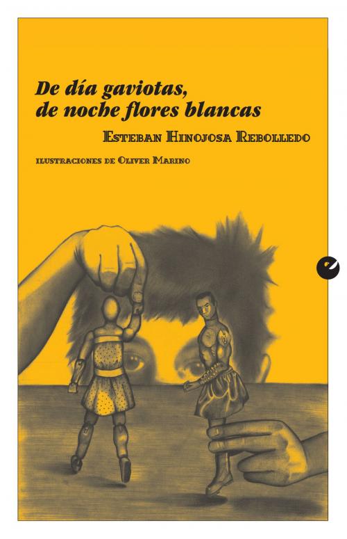 Cover of the book De día gaviotas, de noche flores blancas by Esteban Hinojosa Rebolledo, Punto de Vista