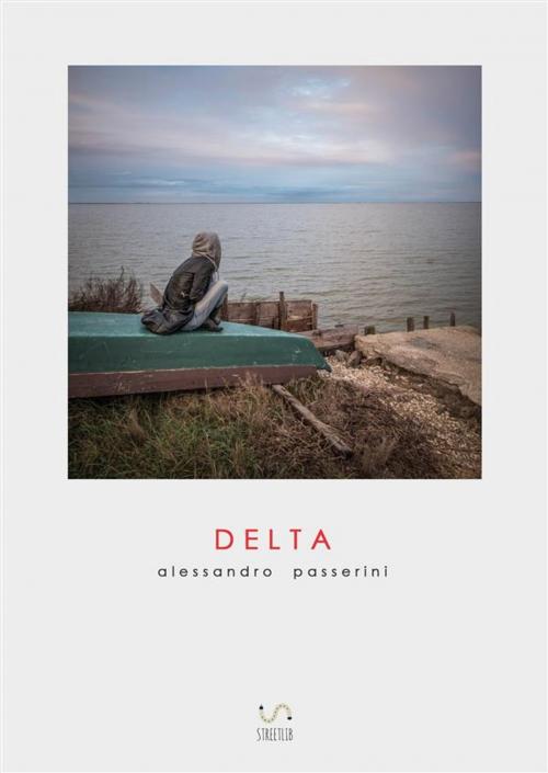 Cover of the book Delta by Alessandro Passerini, StreetLib