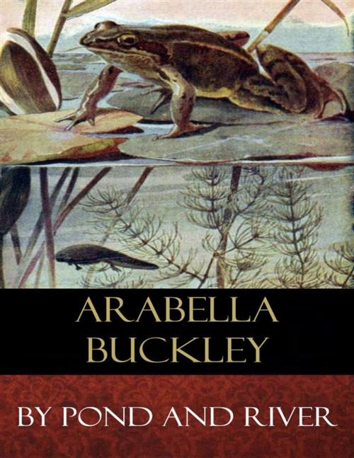 Cover of the book By Pond and River by Arabella Buckley, BertaBooks