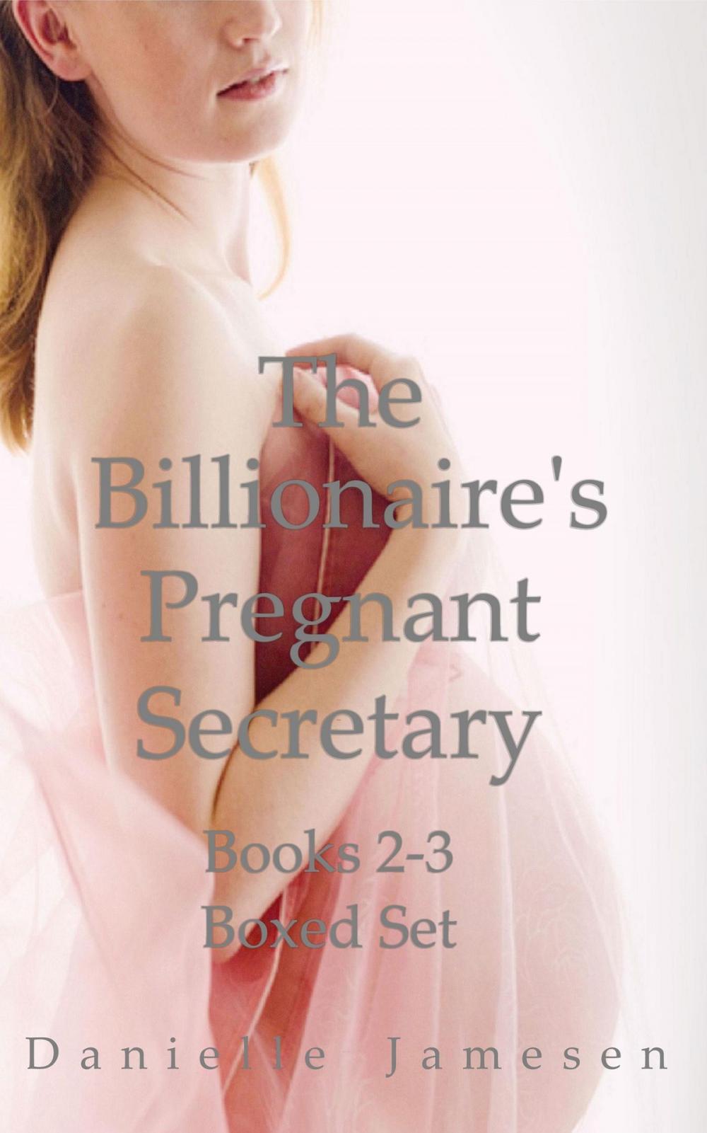 Big bigCover of The Billionaire's Pregnant Secretary 2-3 Boxed Set