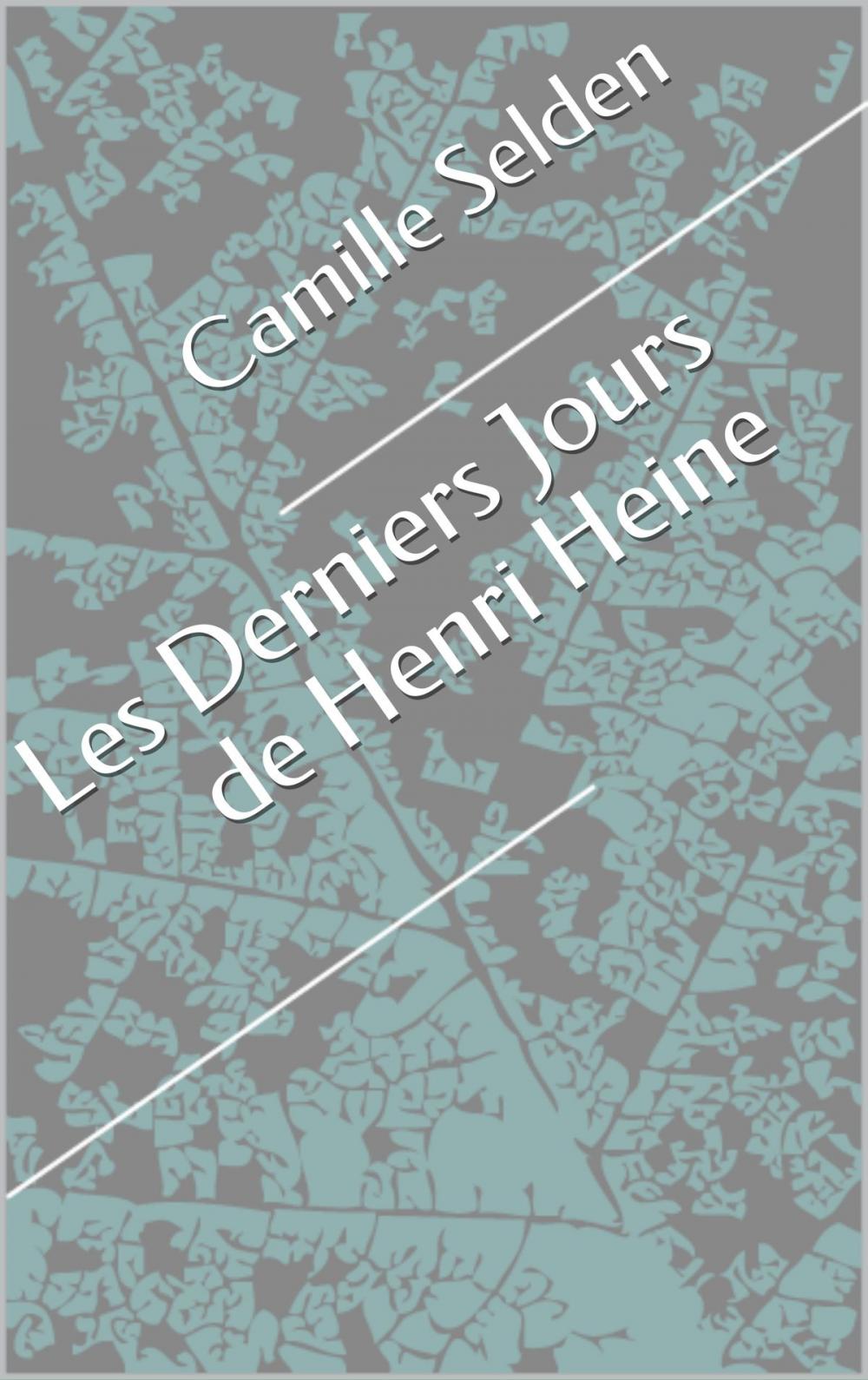 Big bigCover of Les Derniers Jours de Henri Heine