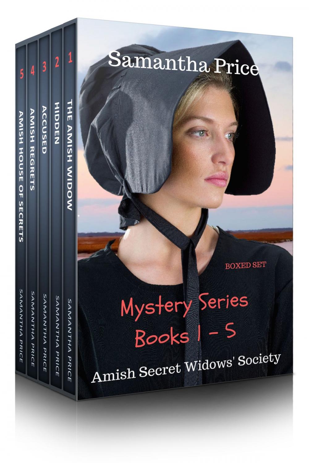 Big bigCover of Amish Mysteries Boxed Set Books 1 - 5