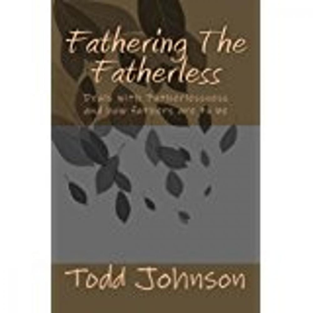 Big bigCover of Fathering the fatherless