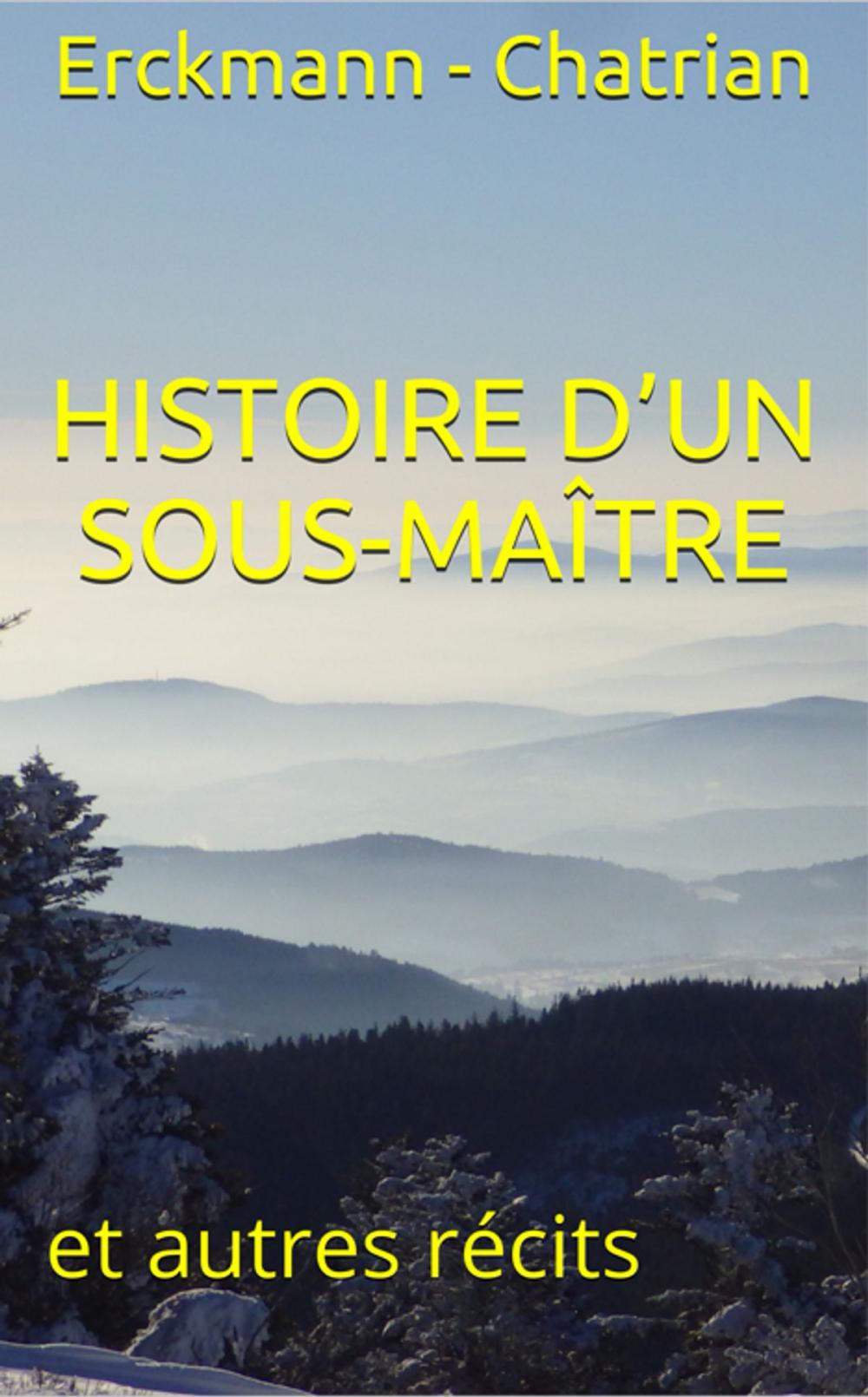 Big bigCover of Histoire d’un sous-maître