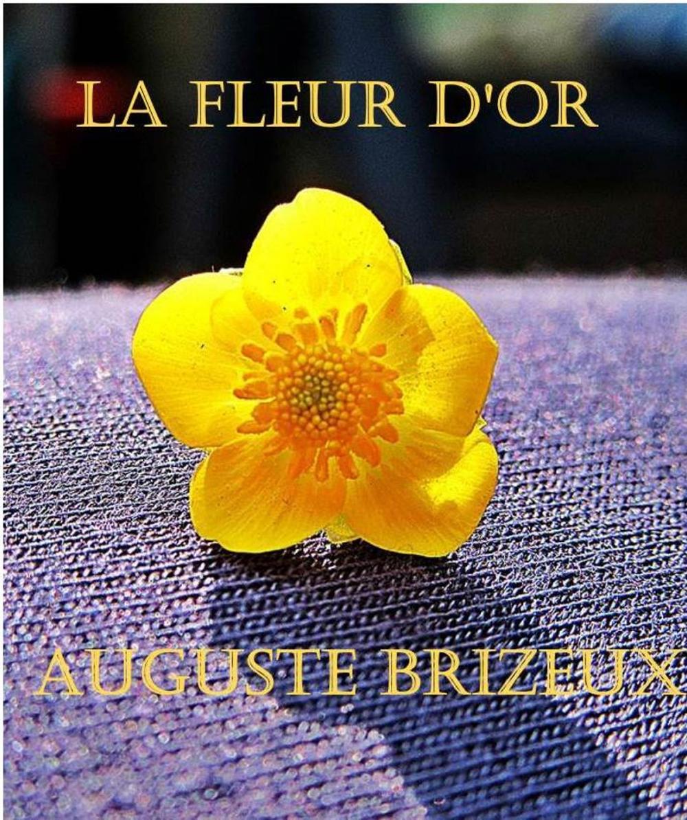 Big bigCover of La fleur d'or (Les ternaires : annoté avec préface)