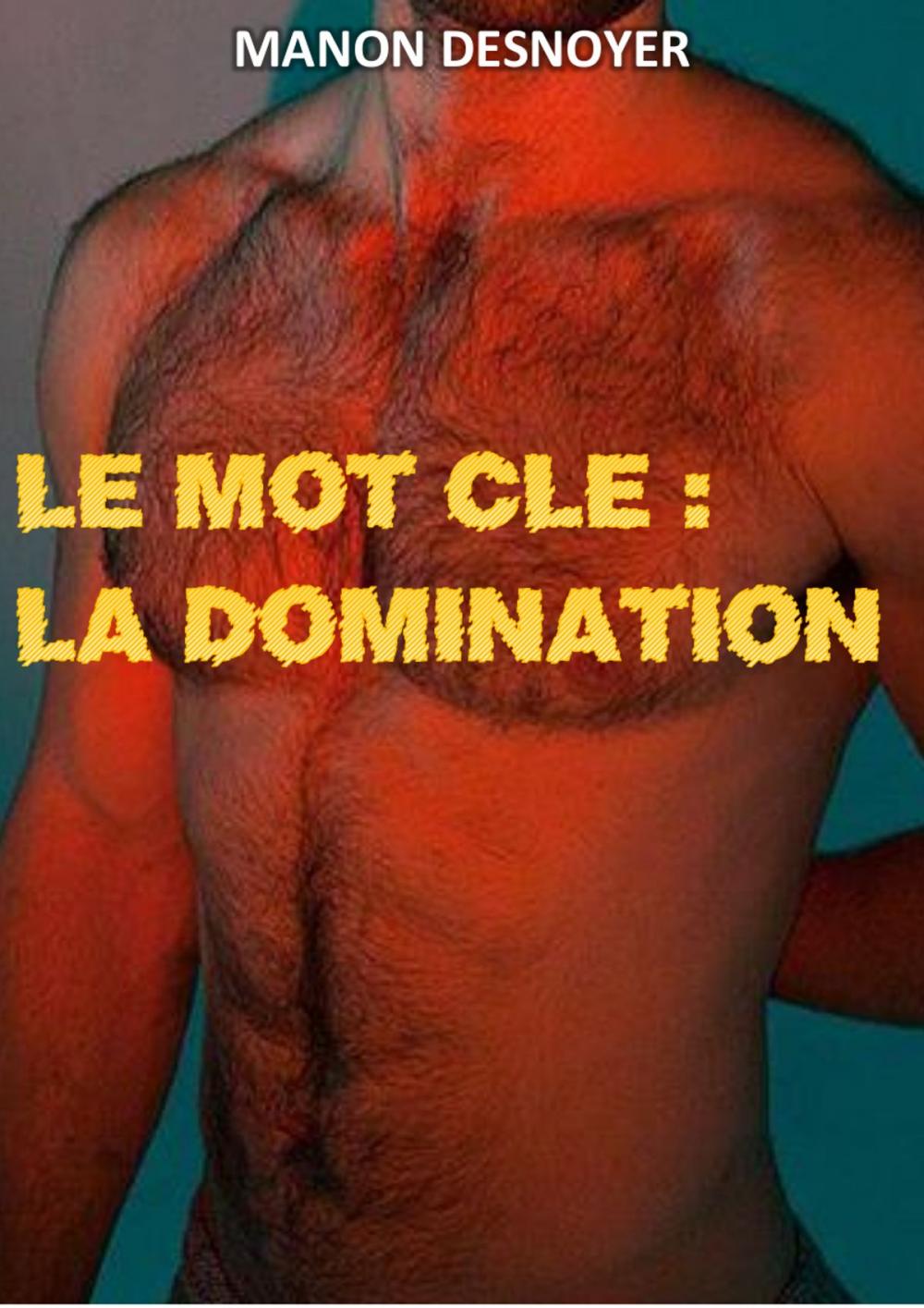 Big bigCover of Le mot clé : la domination