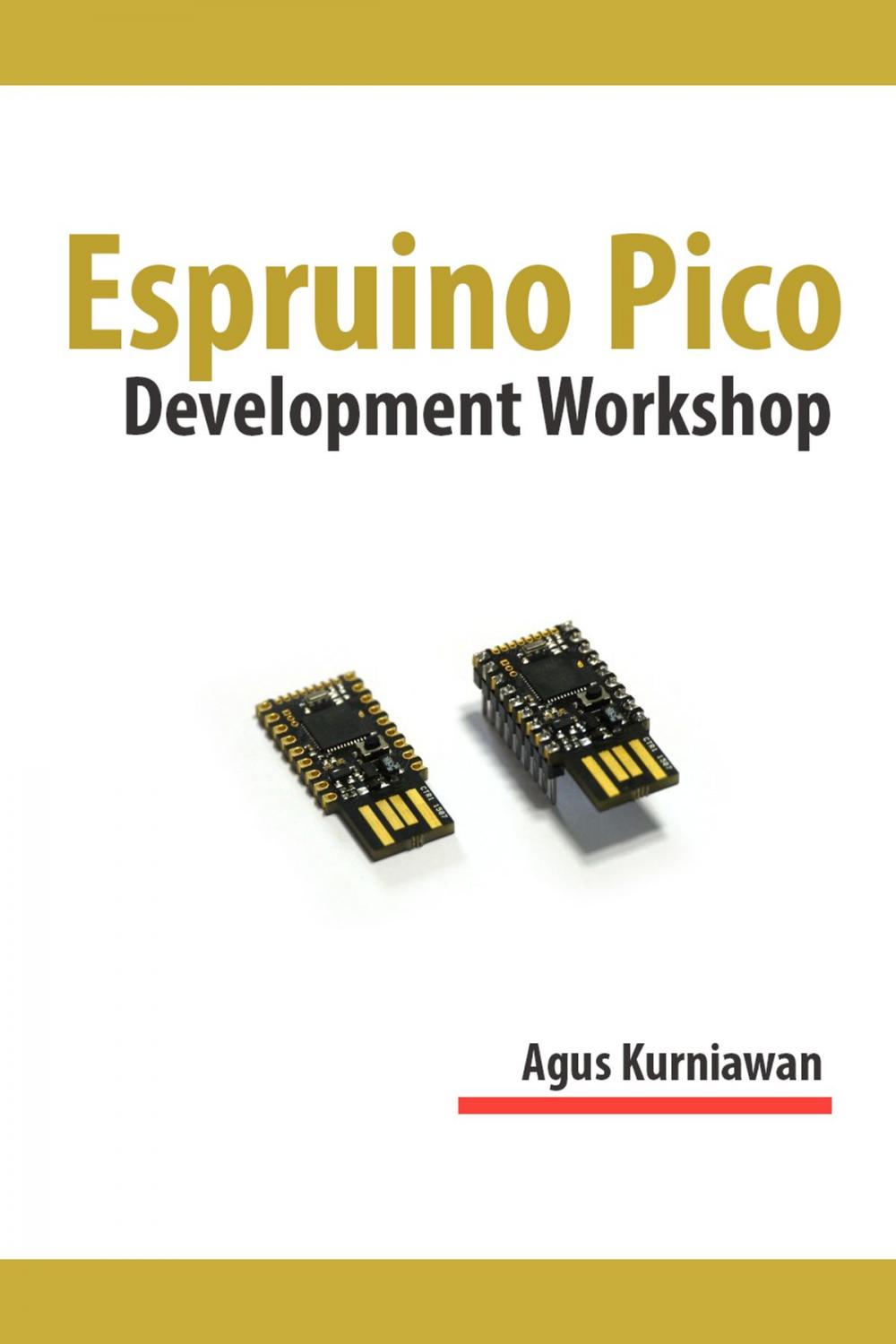 Big bigCover of Espruino Pico Development Workshop