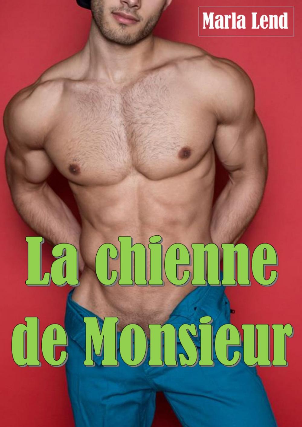 Big bigCover of La chienne de monsieur