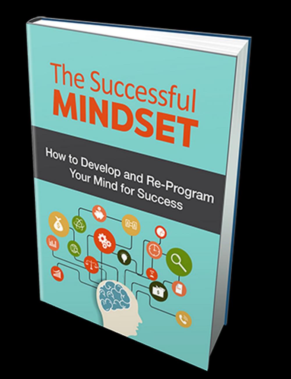 Big bigCover of The Successful Mindset