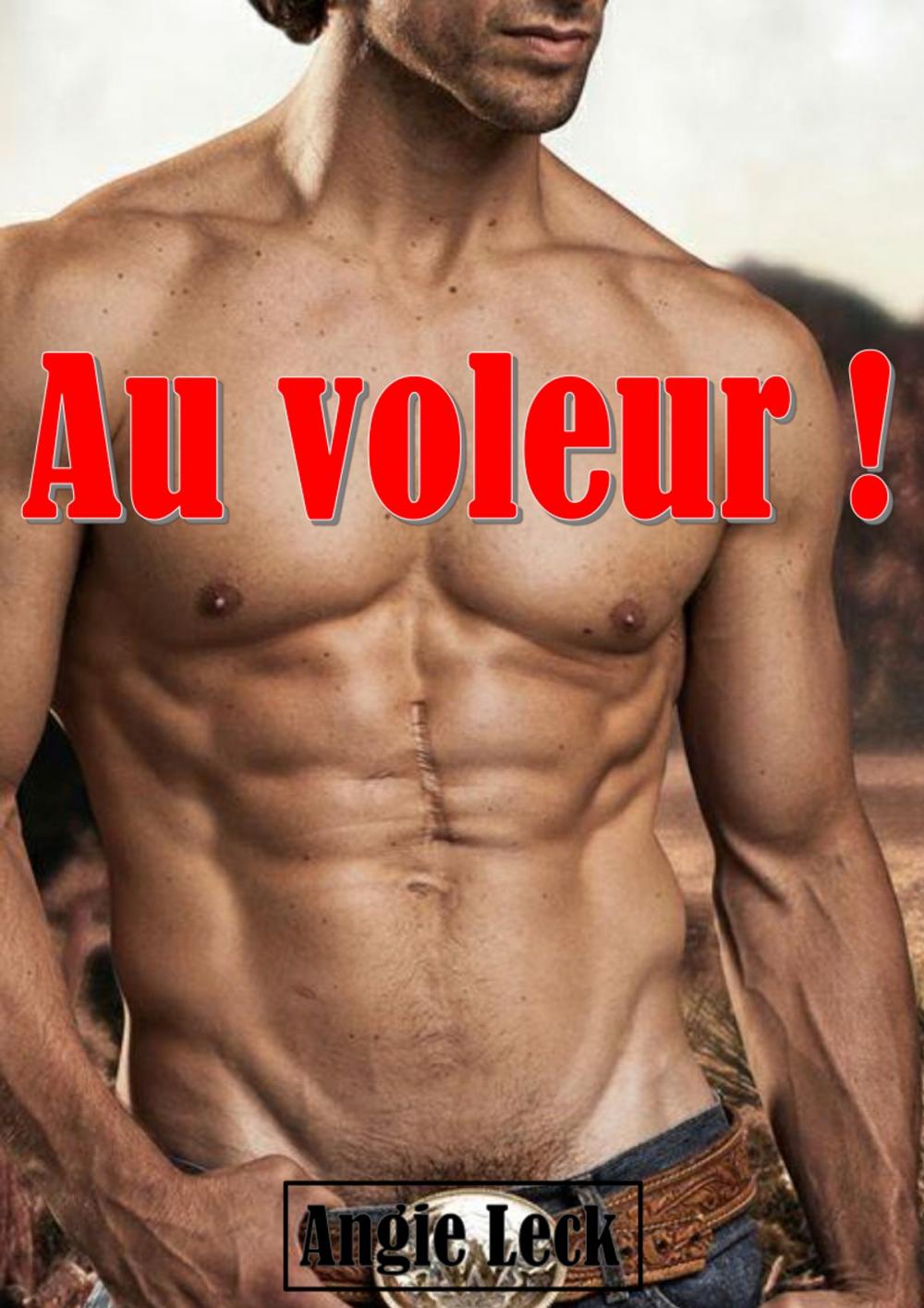 Big bigCover of Au voleur !