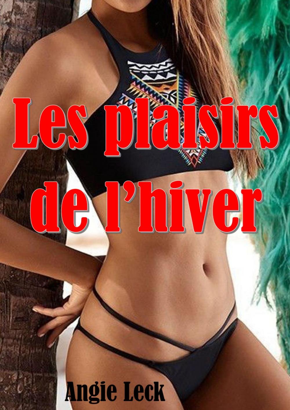 Big bigCover of Les plaisirs de l'hiver