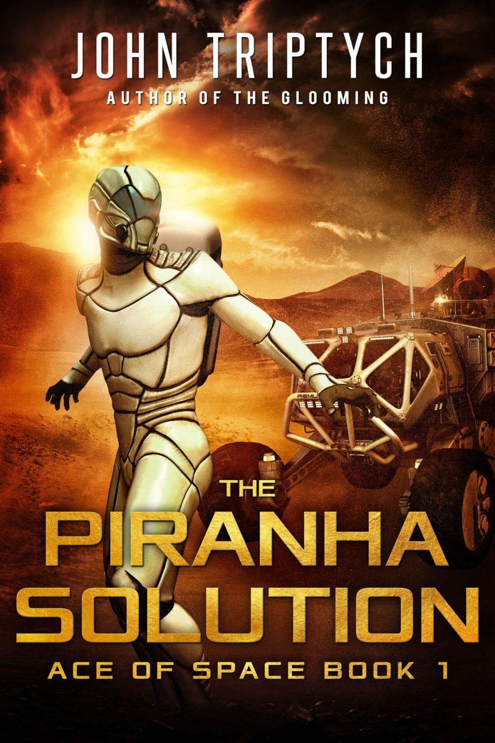 Big bigCover of The Piranha Solution