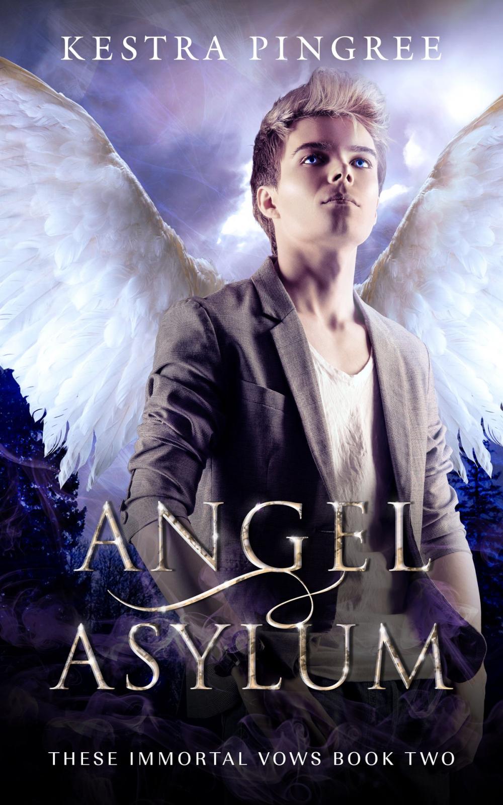 Big bigCover of Angel Asylum