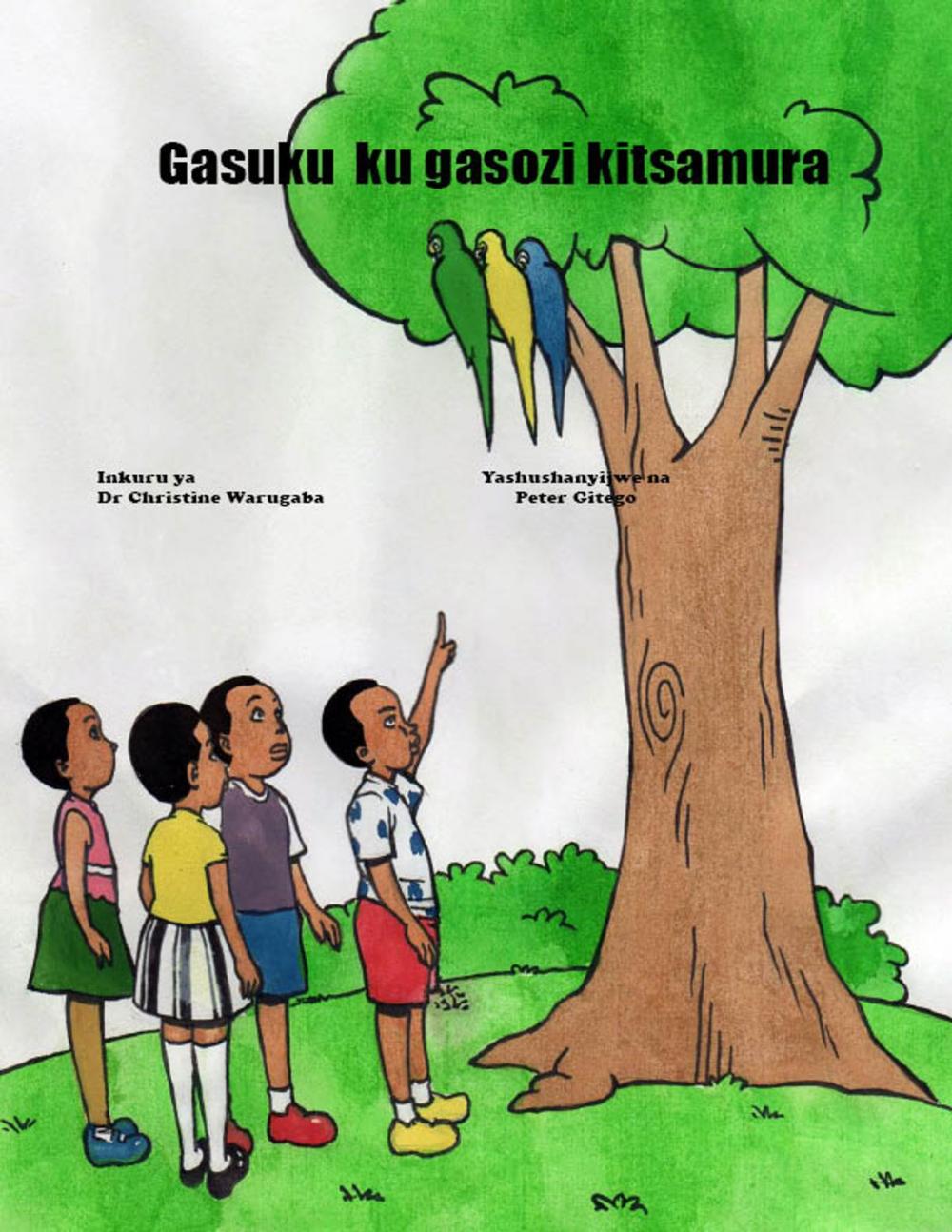 Big bigCover of Gasuku ku gasozi kitsamura