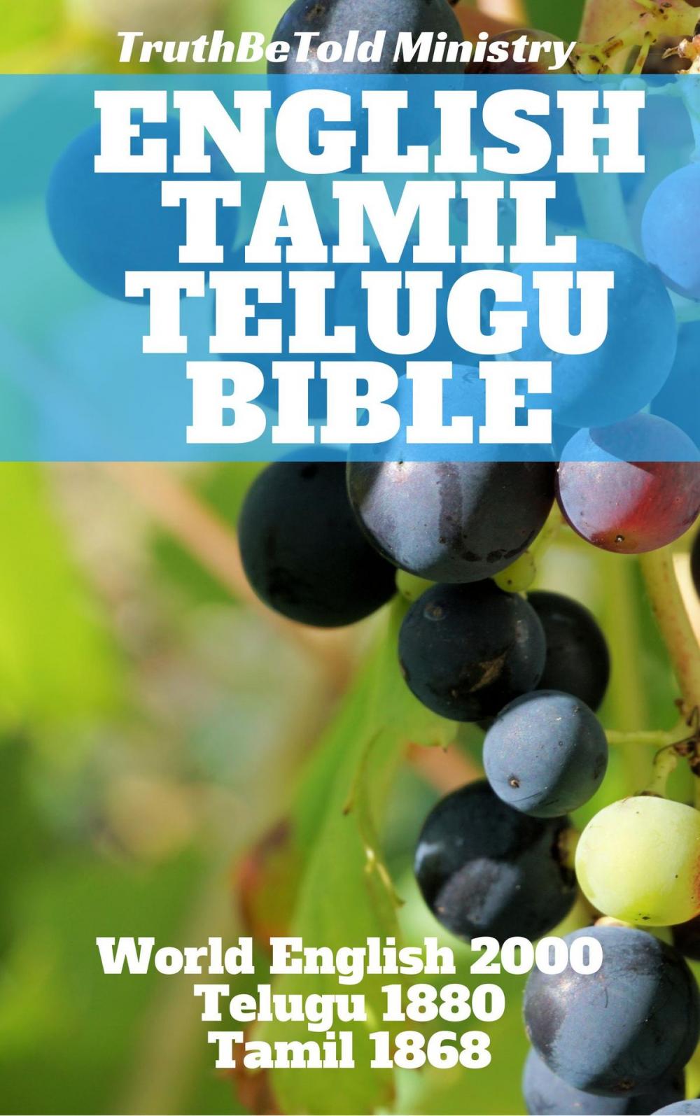 Big bigCover of English Tamil Telugu Bible