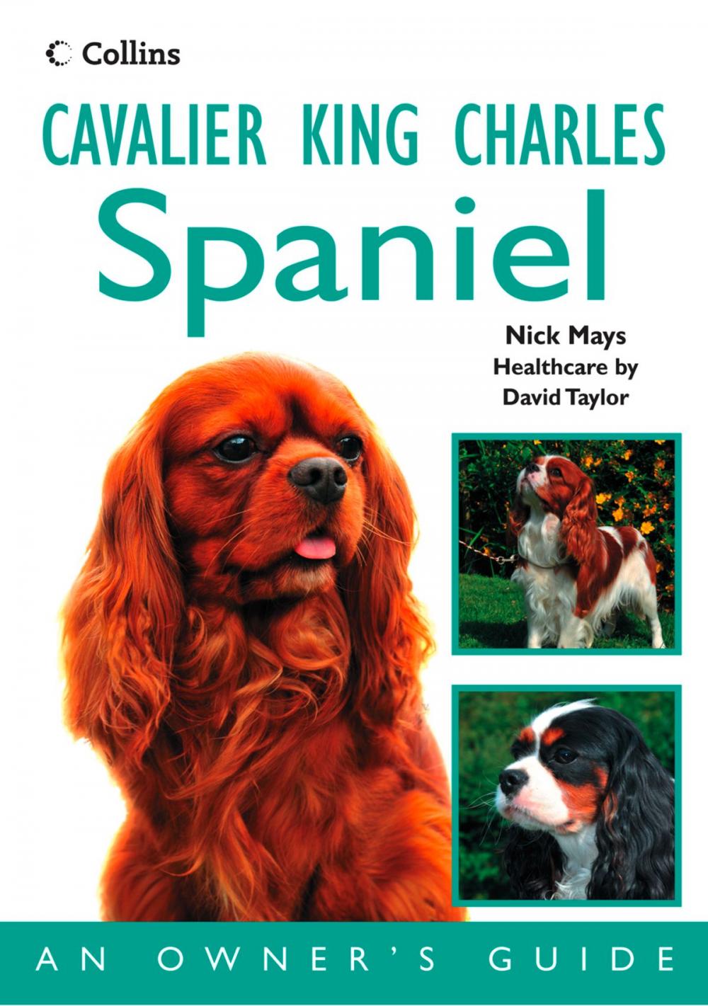 Big bigCover of Cavalier King Charles Spaniel: An Owner’s Guide