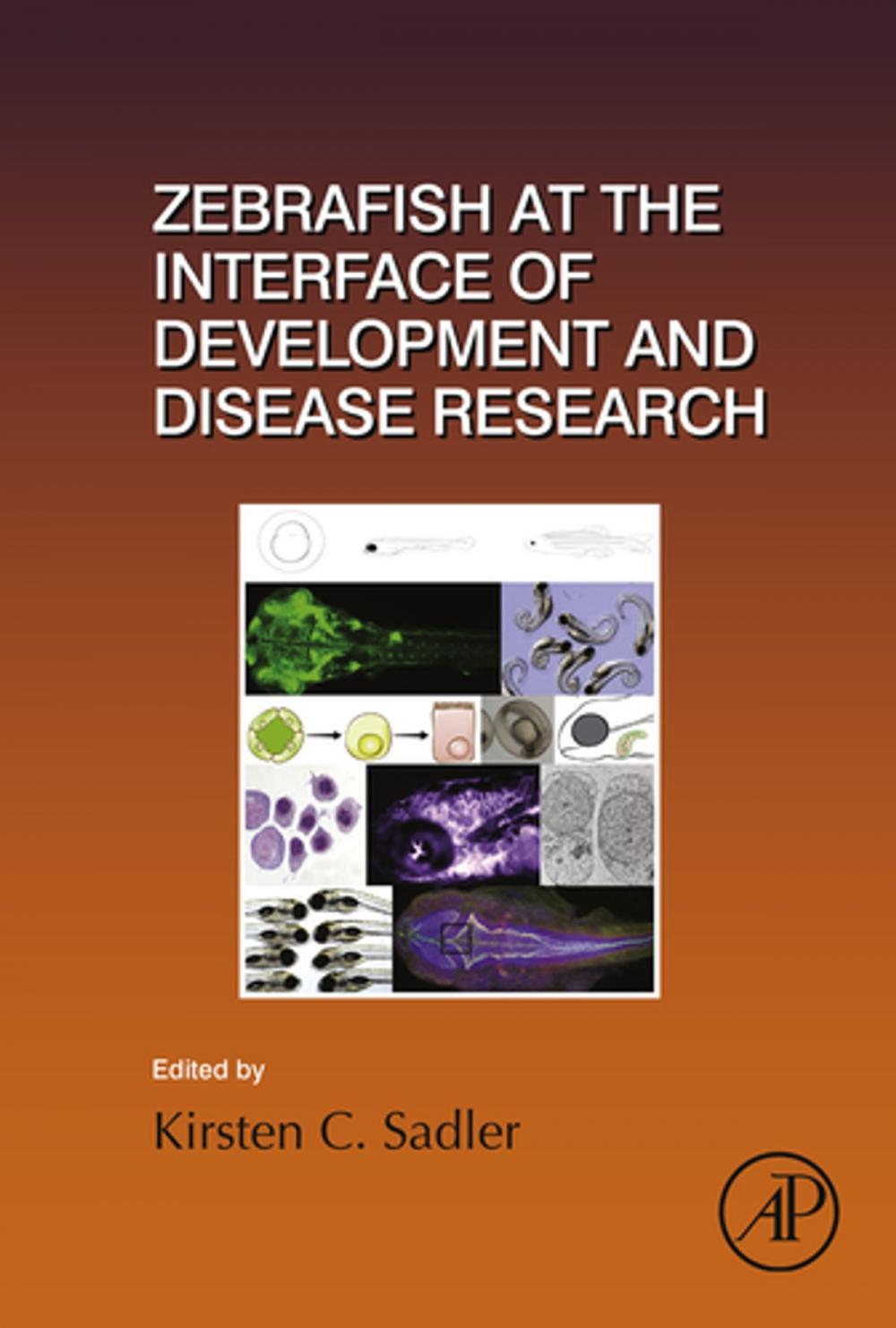 Big bigCover of Zebrafish at the Interface of Development and Disease Research