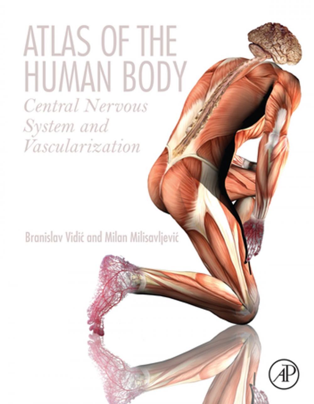 Big bigCover of Atlas of the Human Body