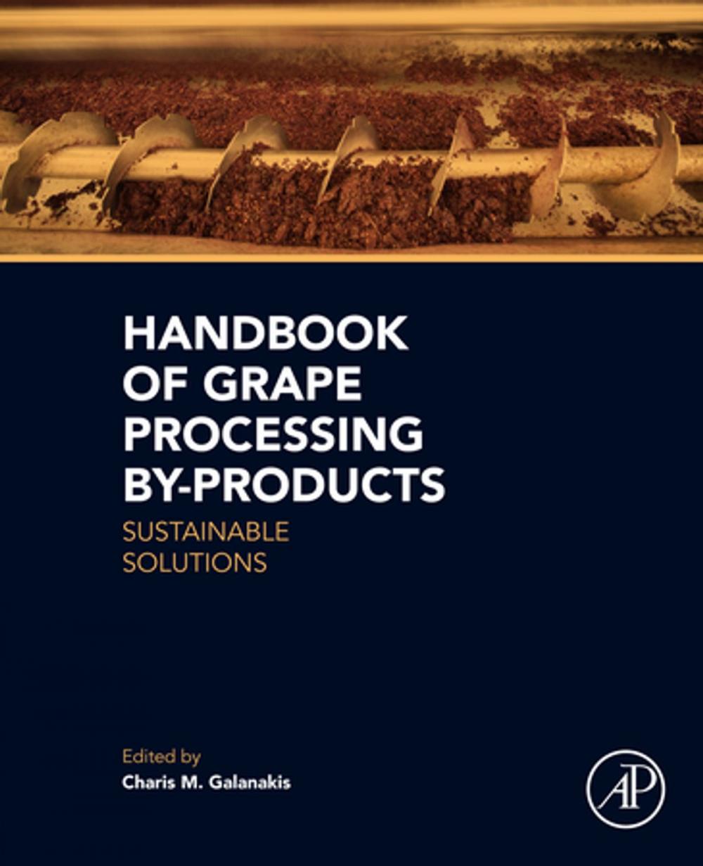 Big bigCover of Handbook of Grape Processing By-Products