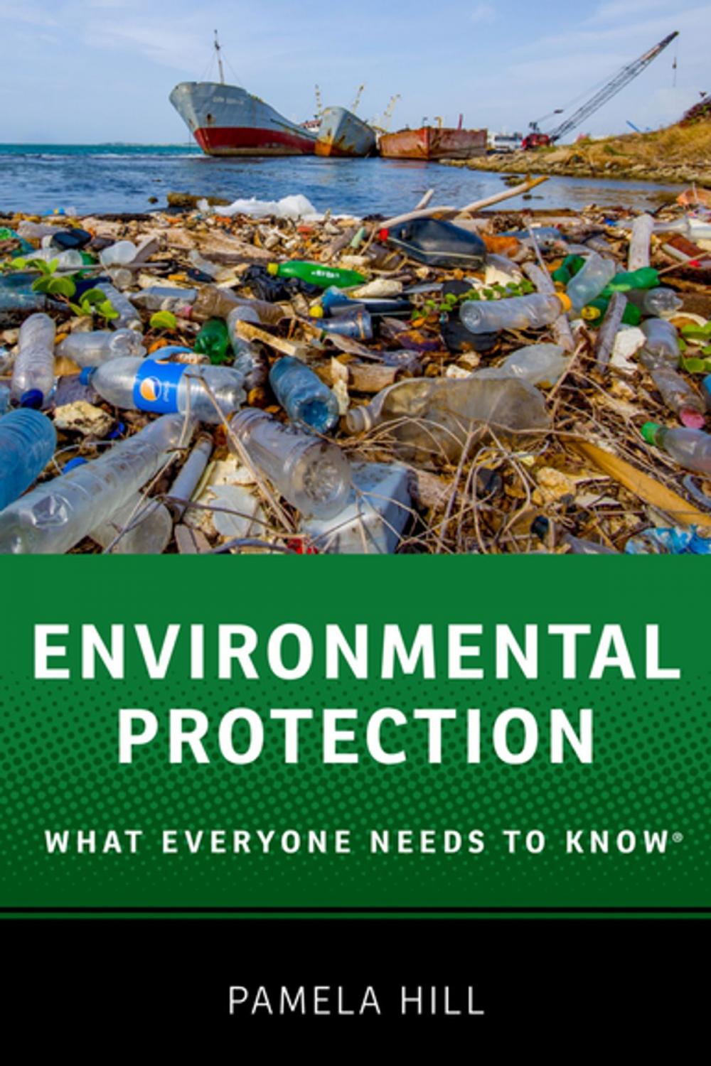 Big bigCover of Environmental Protection