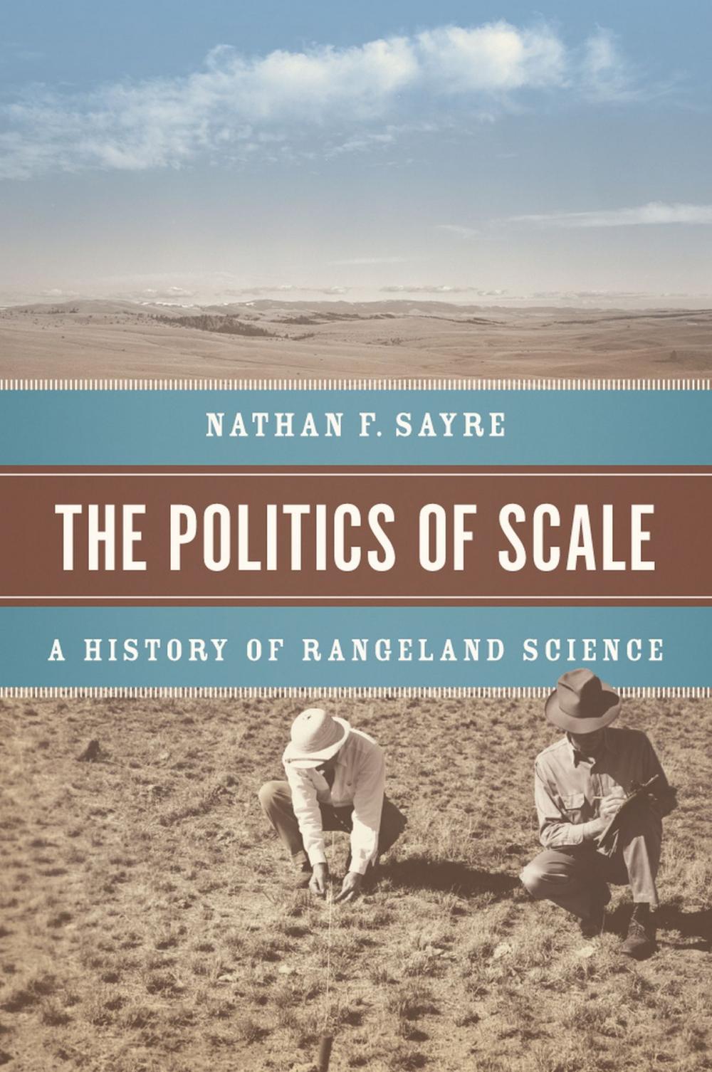 Big bigCover of The Politics of Scale